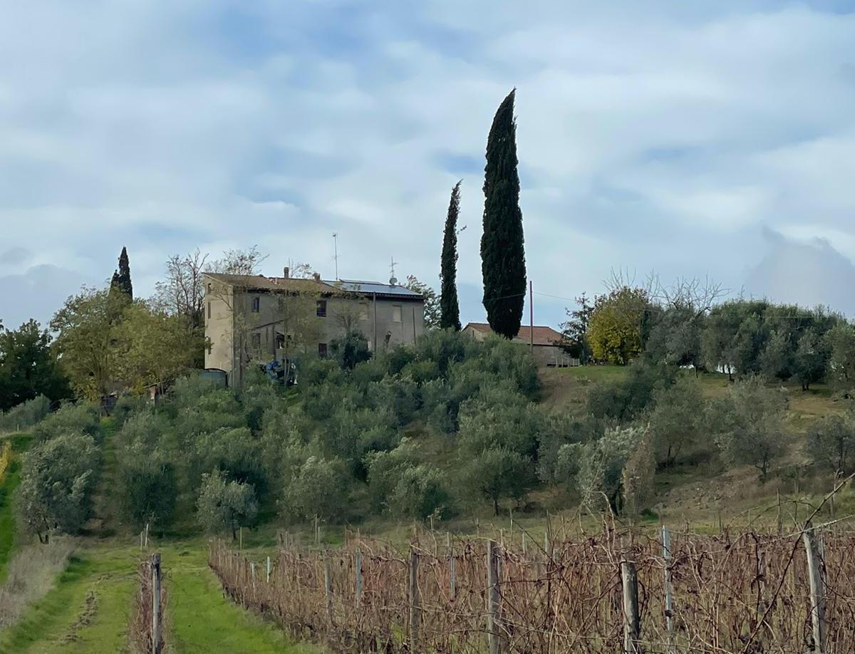 Podere Casetto